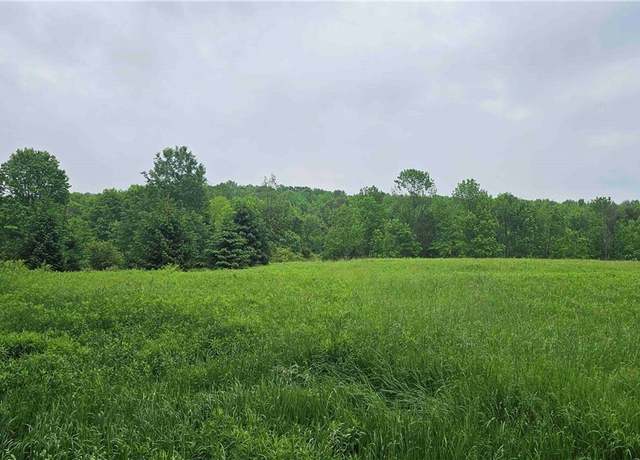 Property at Gospel Hill Rd, Oxford, NY 13830