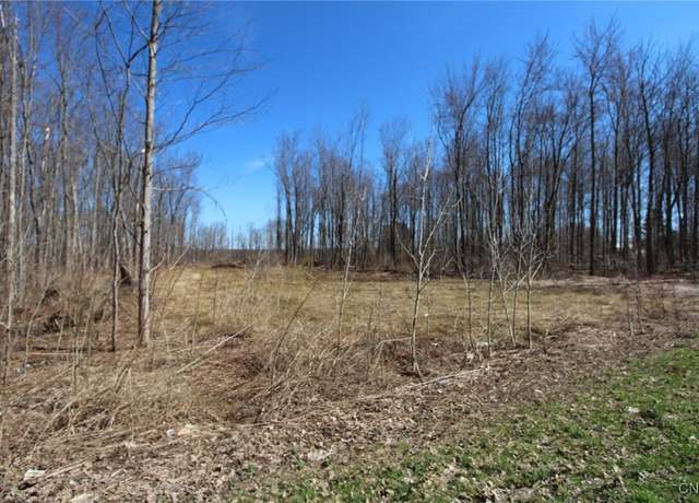 Property at County Route 45, Palermo, NY 13036