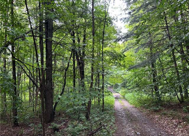 Property at Rt-13, Williamstown, NY 13302