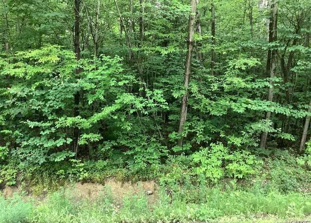 Property at 101 Butterfield Rd, Lisle, NY 13835