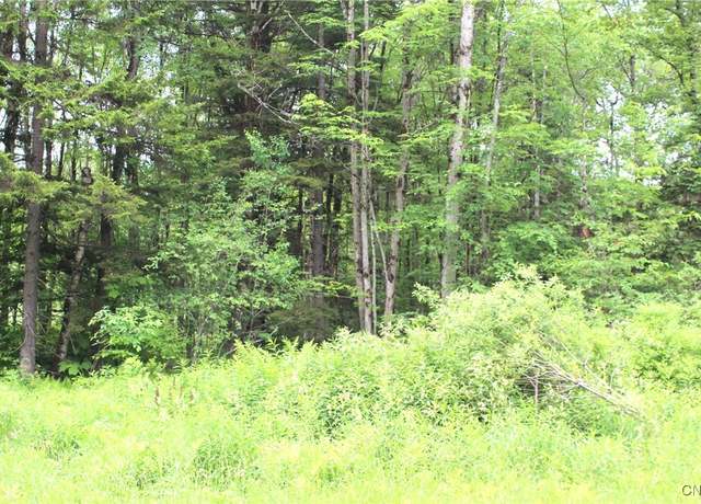 Property at Milk Rd, Osceola, NY 13316
