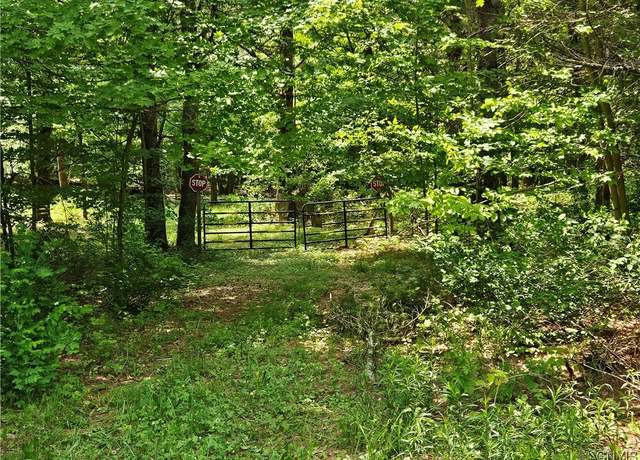 Property at 0 S Bonaparte Rd, Diana, NY 13648