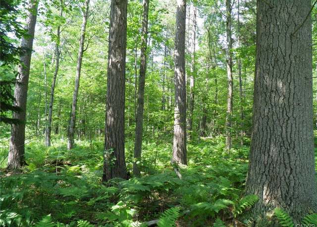 Property at 0 Silver Lake Rd, Black Brook Twp, NY 12997