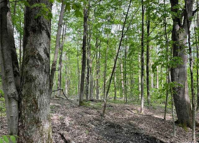 Property at 9543 Cream Ridge Rd, Rushford, NY 14777