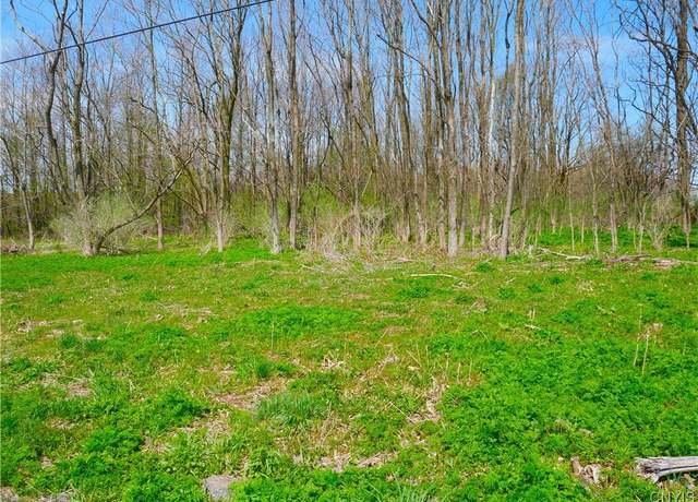 Property at 9151 Bray Rd, Paris, NY 13456