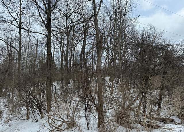 Property at Route 12 B, Madison, NY 13402