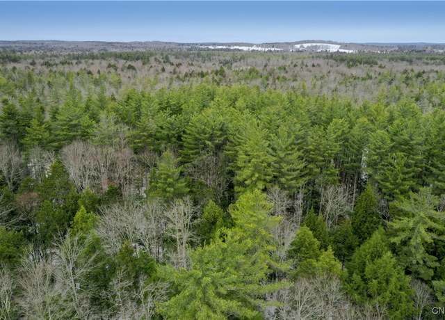 Property at Elpis Rd, Camden, NY 13316