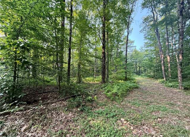 Property at 11470 River Rd, Florence, NY 13316