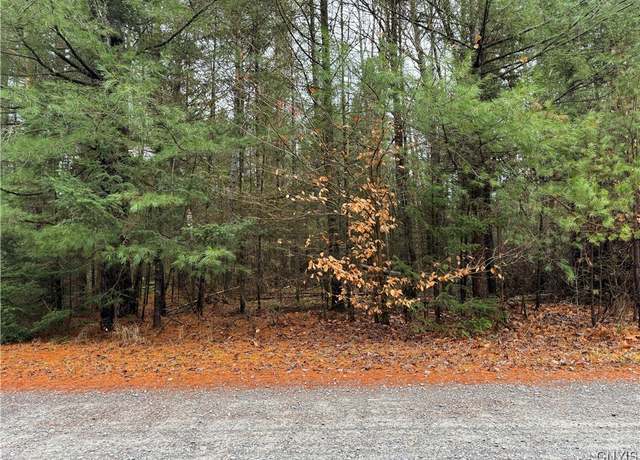 Property at Lot #3 Black Bear Bnd, Boonville, NY 13301