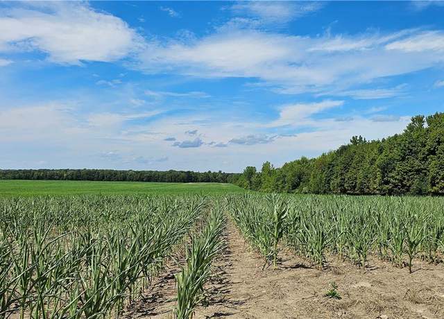 Property at Rt-96a, Romulus, NY 14521