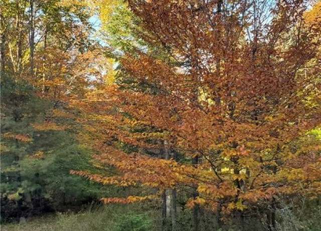 Property at Steinfeldt Ln, Long Lake, NY 12847