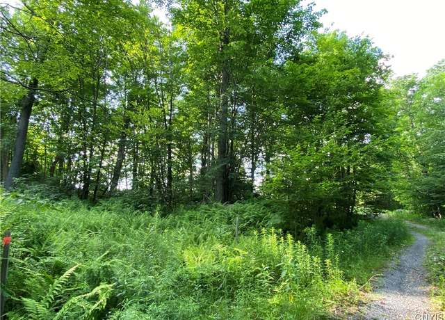 Property at 1517 State Route 28, Webb, NY 13472