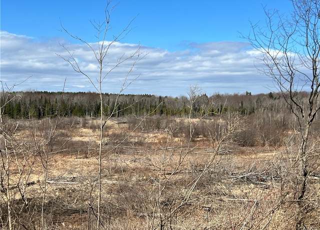 Property at 0 County Route 41, Wilna, NY 13665