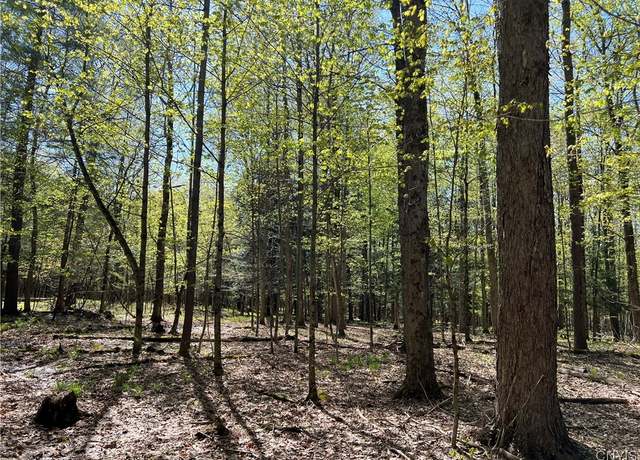 Property at Hemlock Dr, Watson, NY 13367