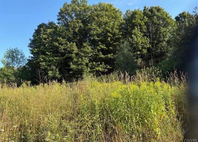 Property at 0 County Route 91, Ellisburg, NY 13636, 4 beds, 1 bath