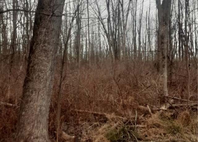Property at Undisclosed address, Lenox, NY 13032