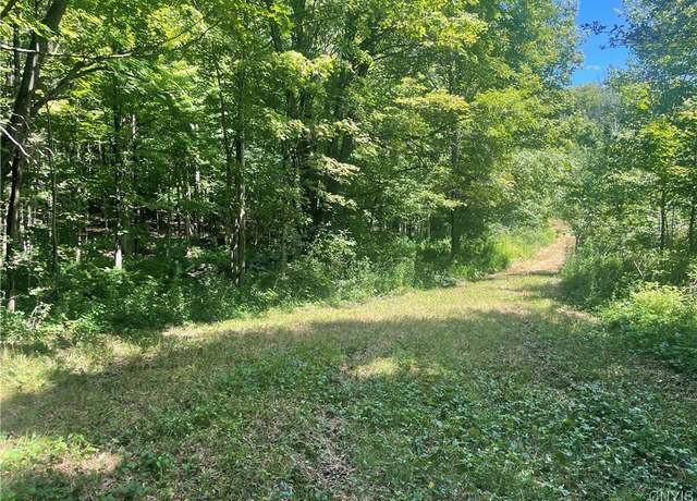 Property at 0 Meirs Rd, Williamstown, NY 13493