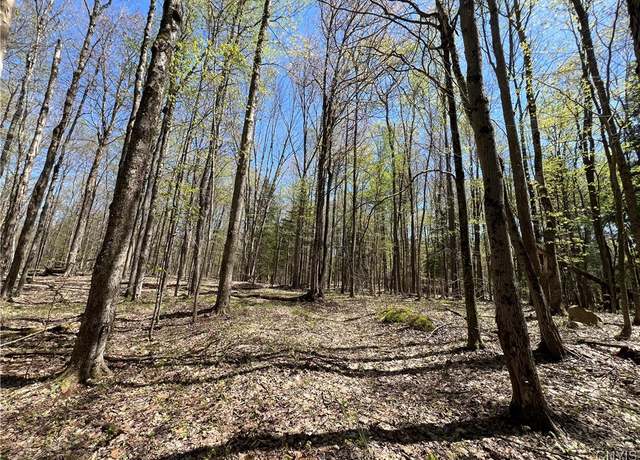 Property at Cedar St, Watson, NY 13367