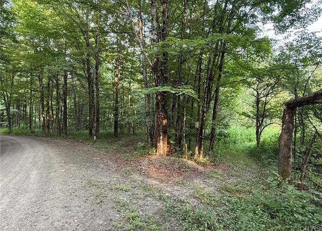 Property at Dutch Hill Rd, Cincinnatus, NY 13040
