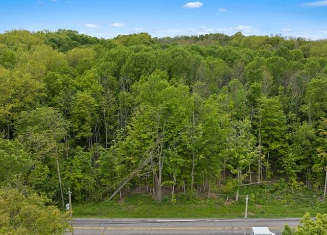 Property at 0 State Route 38 #38, Scipio, NY 13147