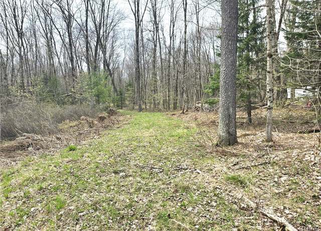 Property at 4023 County Route 17, Redfield, NY 13493