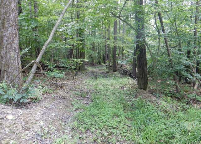 Property at Chaffee Creek Rd, Newfield, NY 14867