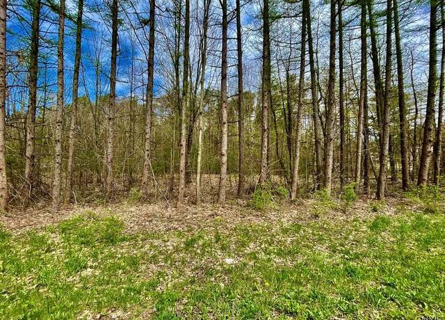 Property at Undisclosed address, Albion, NY 13302