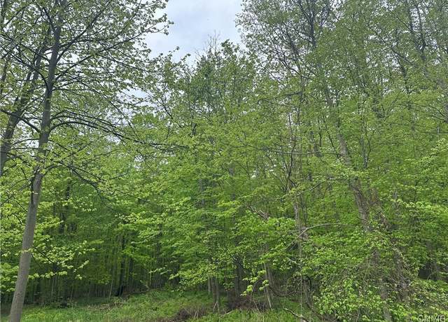 Property at 2460 Hitchings Rd, Otisco, NY 13084