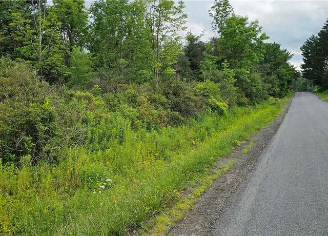 Property at Michigan Hollow Rd, Danby, NY 14883