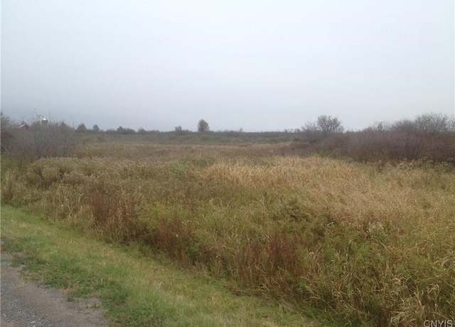 Property at 0 S Nellis Rd, Pamelia, NY 13637