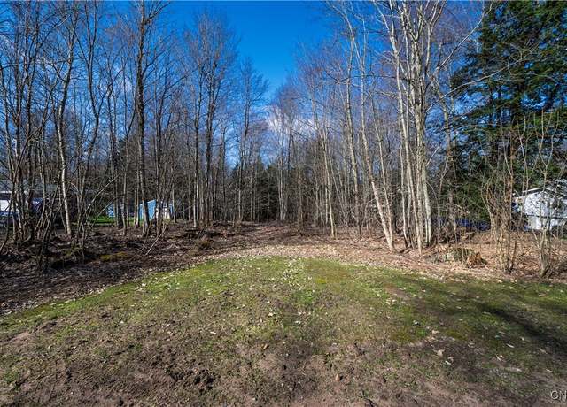 Property at Baum Rd, Hastings, NY 13076