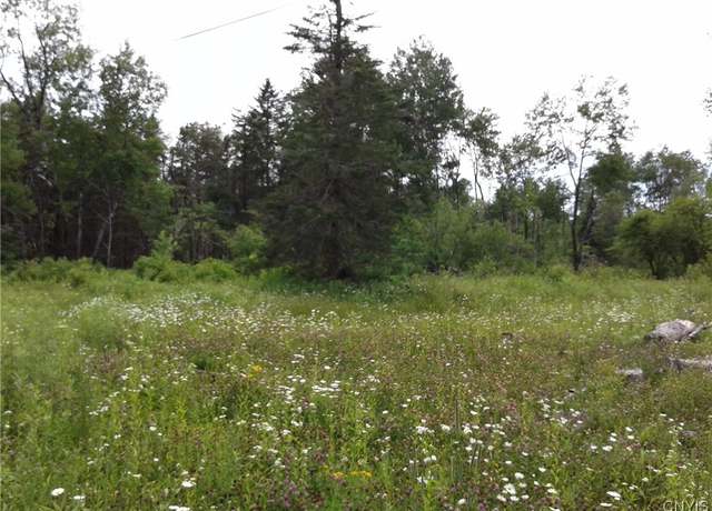 Property at 0 Gray-wilmurt Rd, Ohio, NY 13324, 3 beds
