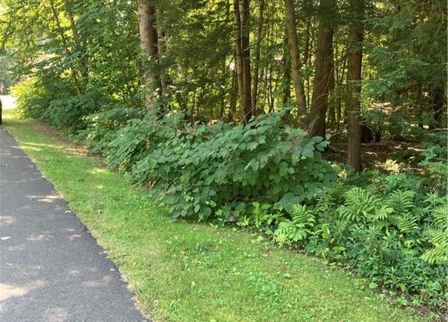 Property at 0 Shady Ln, Vienna, NY 13157