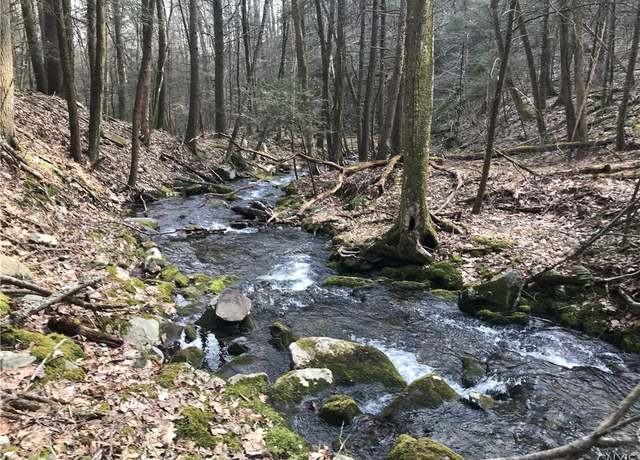 Property at L38 Route 209, Mamakating, NY 12790