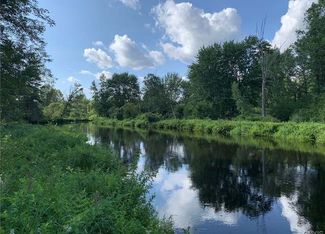 Property at 0 French Settlement Rd, Diana, NY 13648
