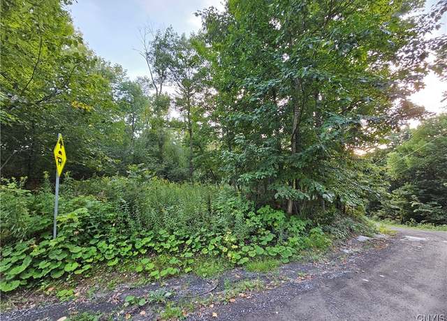 Property at Old State Rd, Denmark, NY 13619