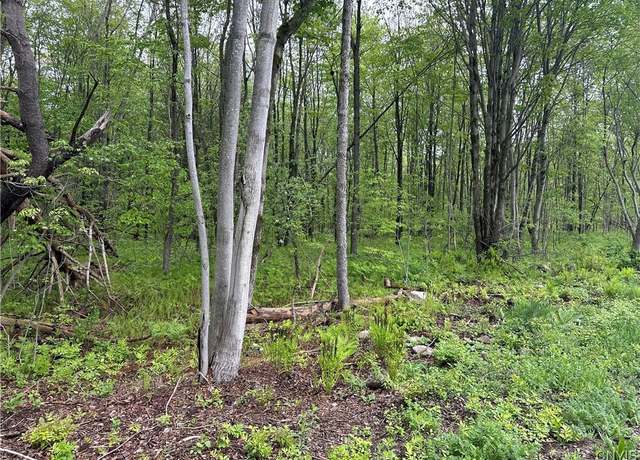 Property at Rogers Crossing Rd, Wilna, NY 13619