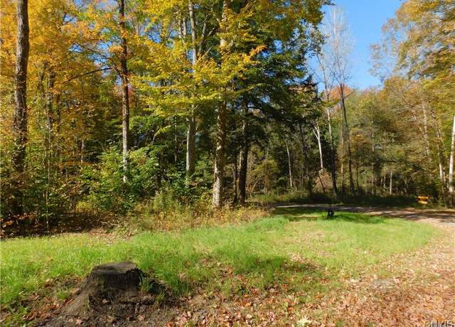 Property at 0 Dawn Dr, Rome-outside, NY 13440