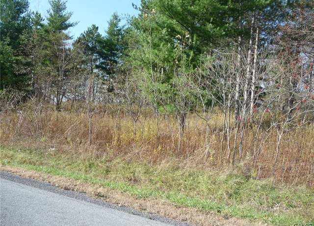 Property at 0 N Adams, Adams, NY 13605