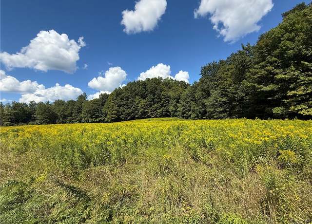 Property at Cr-52, Orwell, NY 13144