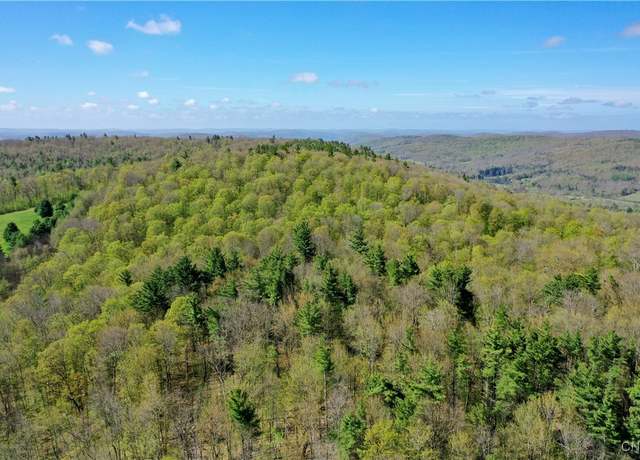 Property at Mill Creek Rd, Otego, NY 13825