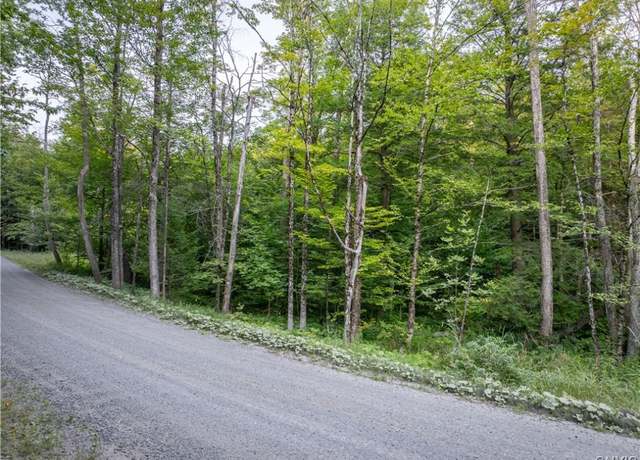 Property at Lot 2.5 Jerseyfield Rd, Little Falls Town, NY 13365