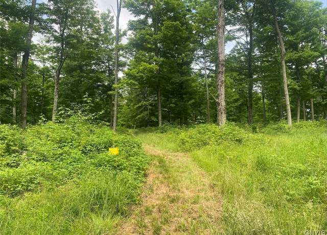 Property at Fulmer Valley Rd, Wellsville, NY 14895