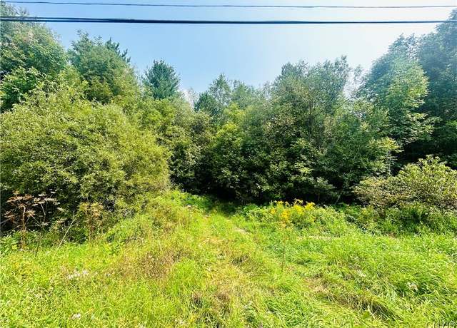Property at 0 Maple St, Diana, NY 13648, 3 beds, 1 bath