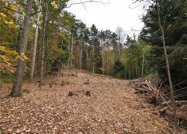 Property at 00 State Route 414, Hornby, NY 14830