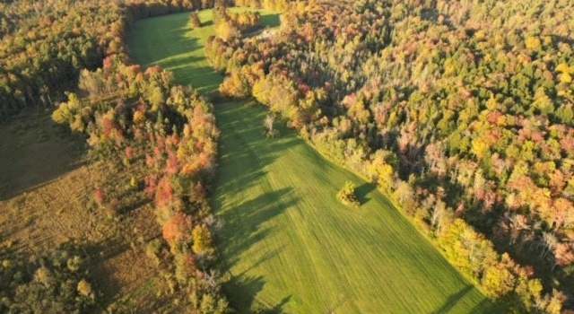 Photo of 11556 Potato Hill Rd, Boonville, NY 13309