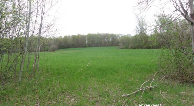 Photo of Miser Rd, Black River, NY 13612