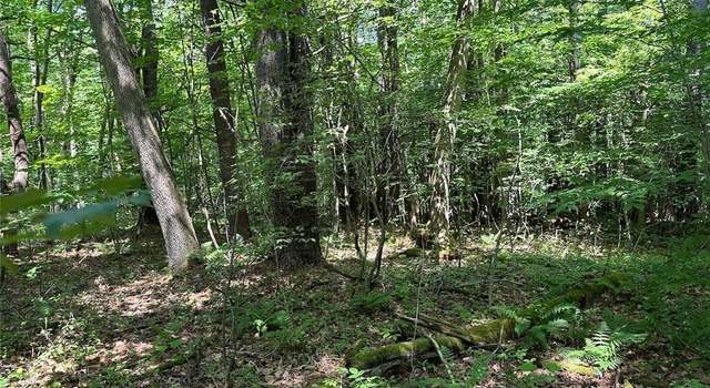 Photo of 6546 Richburg Hill Rd, Wirt, NY 14715