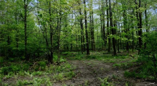 Photo of Doyle Rd, Brookfield, NY 13485