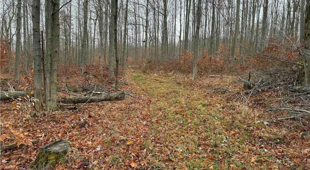 Photo of Dry Brook Rd, Poland, NY 14733